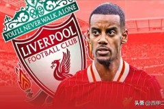 哈兰德国家队47球纪录，挪威国脚闪耀足球史