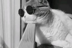 有且仅有！英西德法均仅剩1队保持全胜：利物浦 皇马 拜仁 巴黎